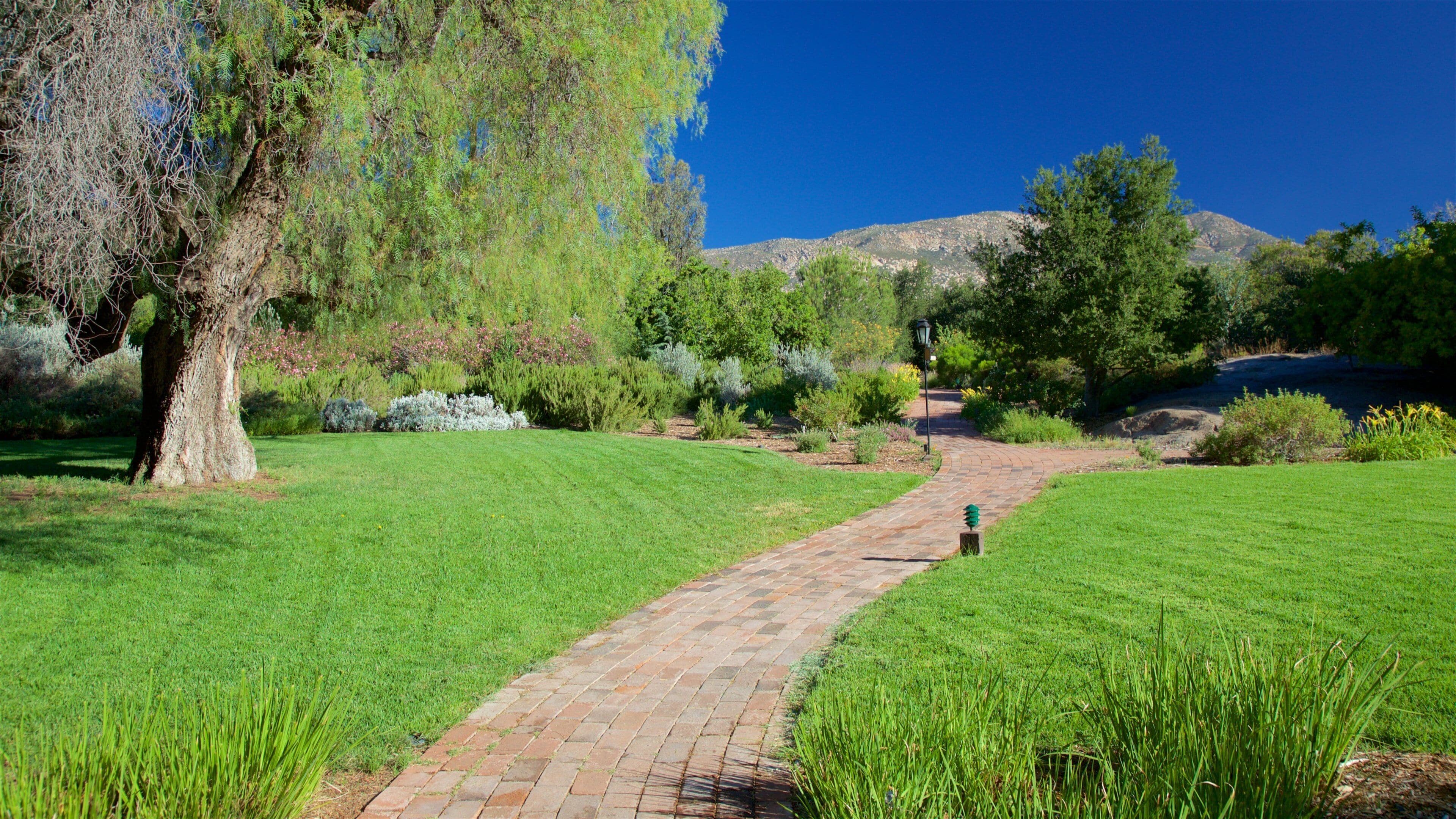 Tecate featuring a park
