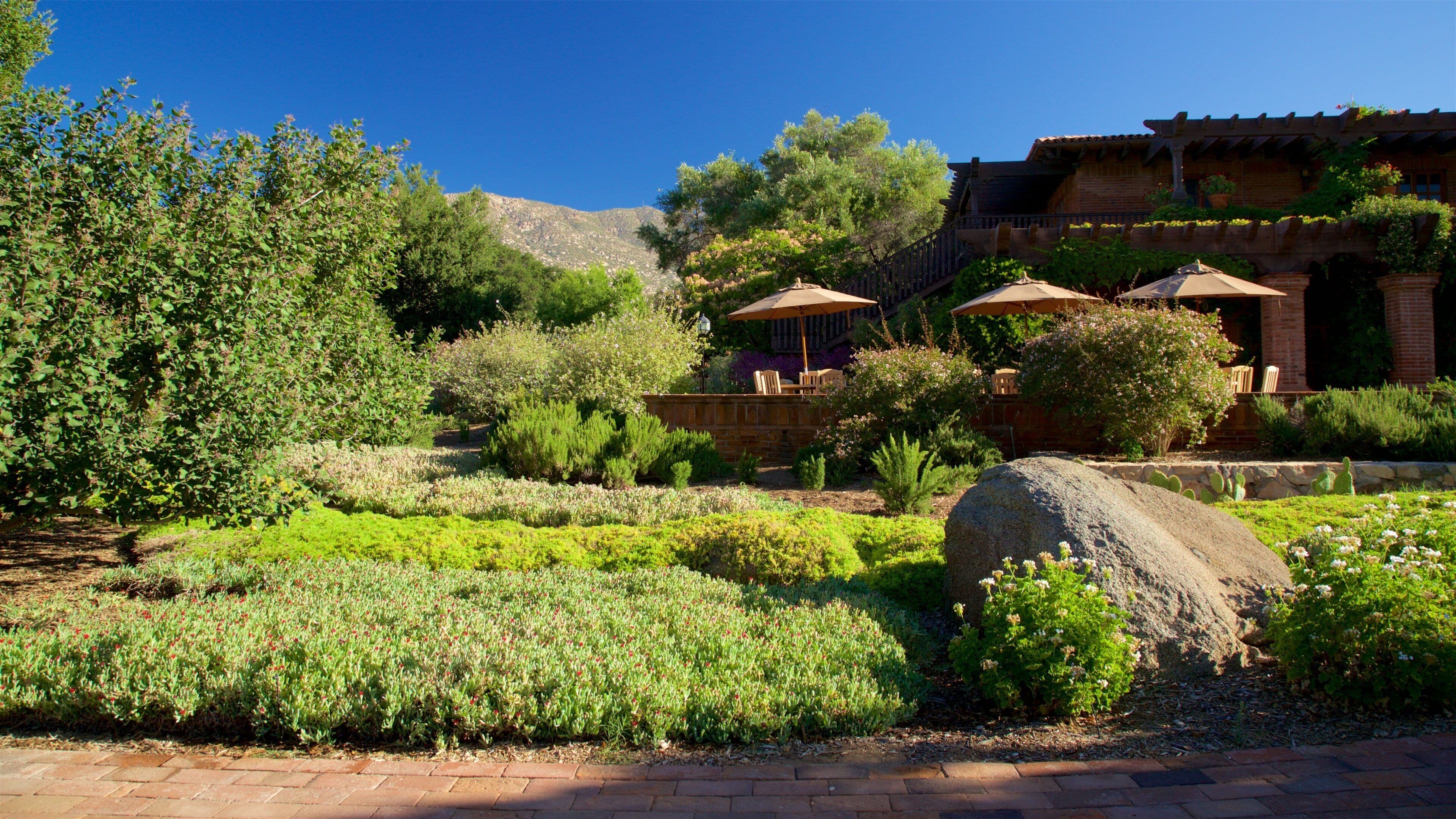 A landscaped garden with a patio area, cacti, and a mountain in the background.