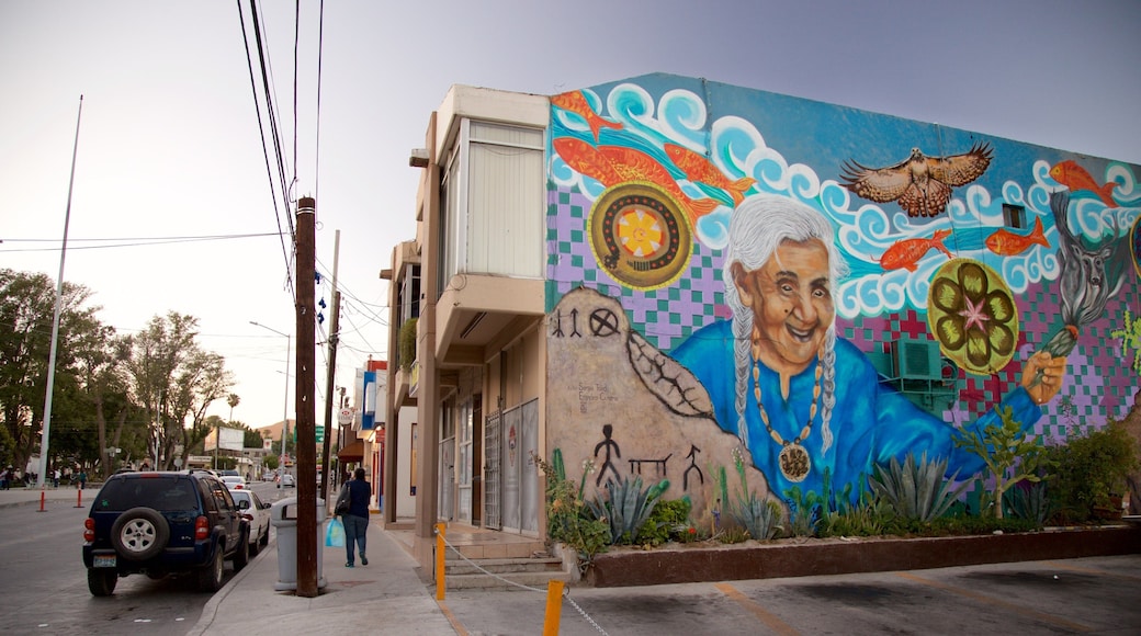 Tecate which includes a sunset and outdoor art