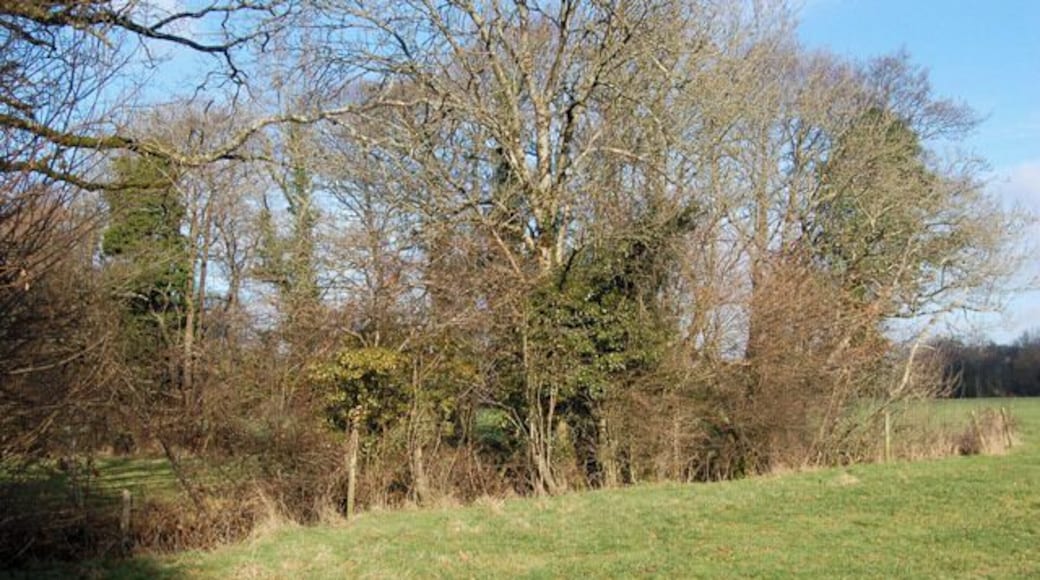 Beside a brook south of Broadwoodwidger