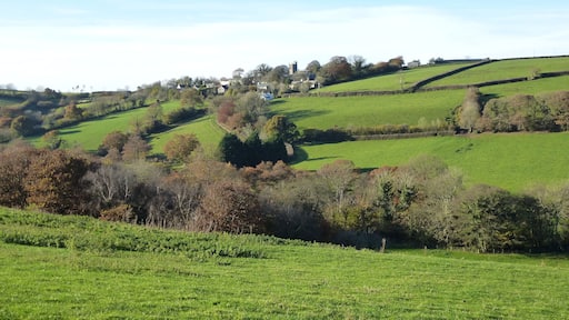 Broadwoodwidger from over here.