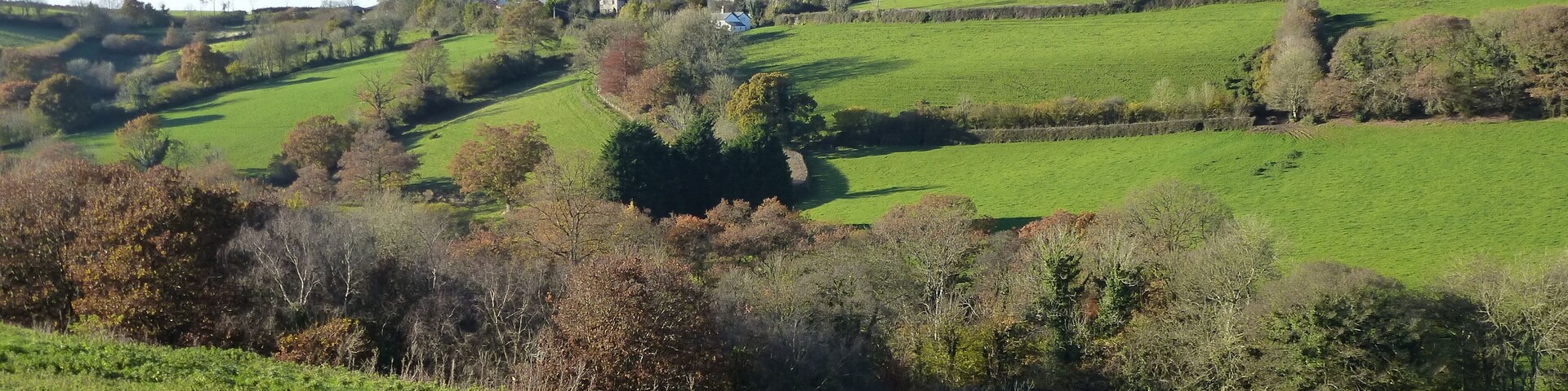 Broadwoodwidger from over here.