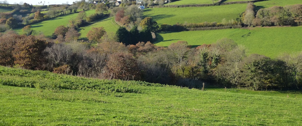 Rolling green hills, a church, and scattered houses.