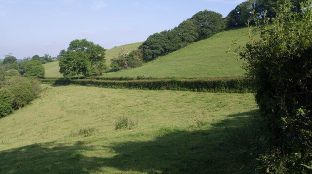 Northern slopes of Lyd valley A green lane cuts across the south-facing fields above the River Lyd between Sprytown and Lifton. Seen from Stowford Footpath 13.