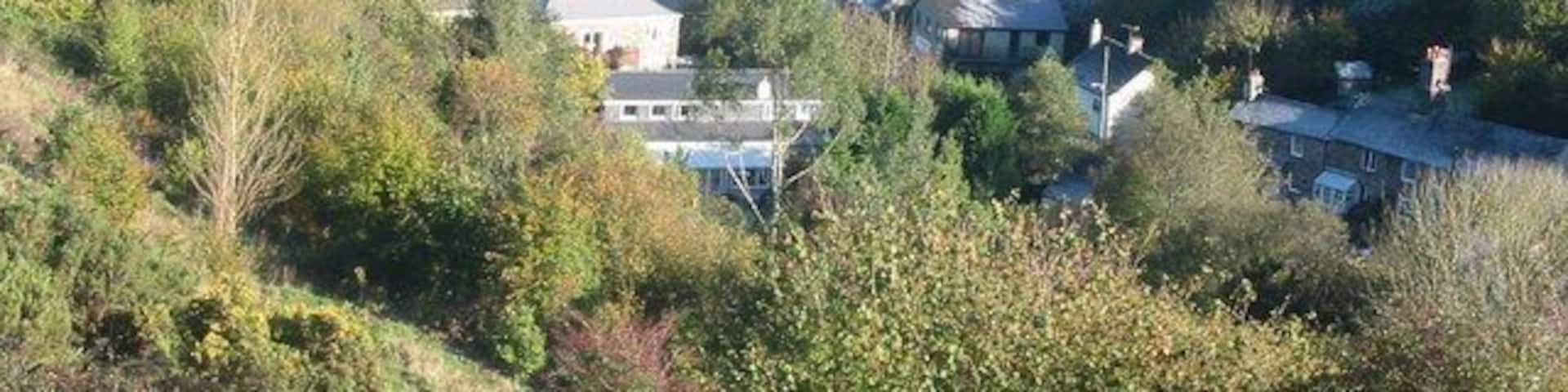 View across Chillaton towards the North East On the horizon at the top right can be seen Dartmoor.