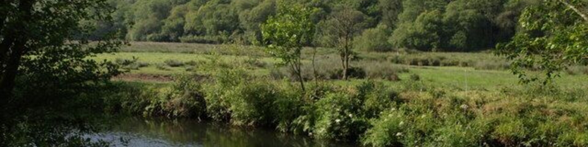 River Lyd and Hartly Wood. Taken a few yards upstream from 459854, with a clearer view of the wood rising some 80 metres above the floodplain.