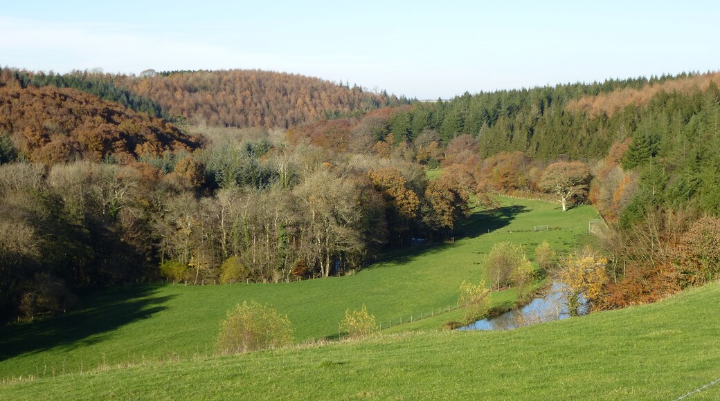 Wolf Valley autum view.