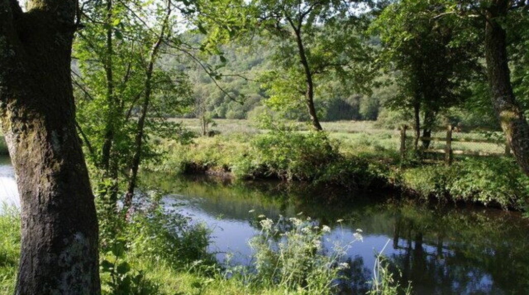 River Lyd. The Lyd, placidly flowing to the right, just above 458671. Beyond the floodplain rises Hartly Wood.