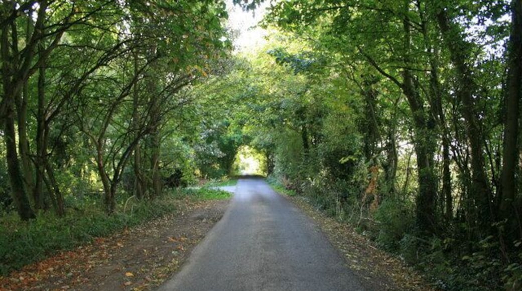 Calcroft Lane At the Clanfield end, just off the B4020.