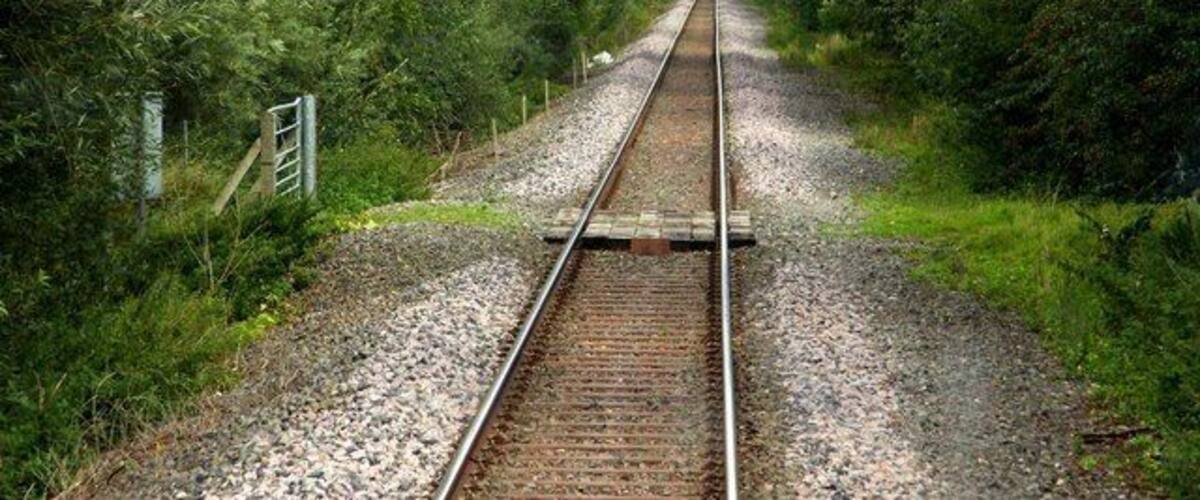 A railway track surrounded by dense greenery.