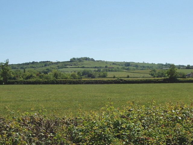 Fields at Piddington. Muswell Hill is in the background.