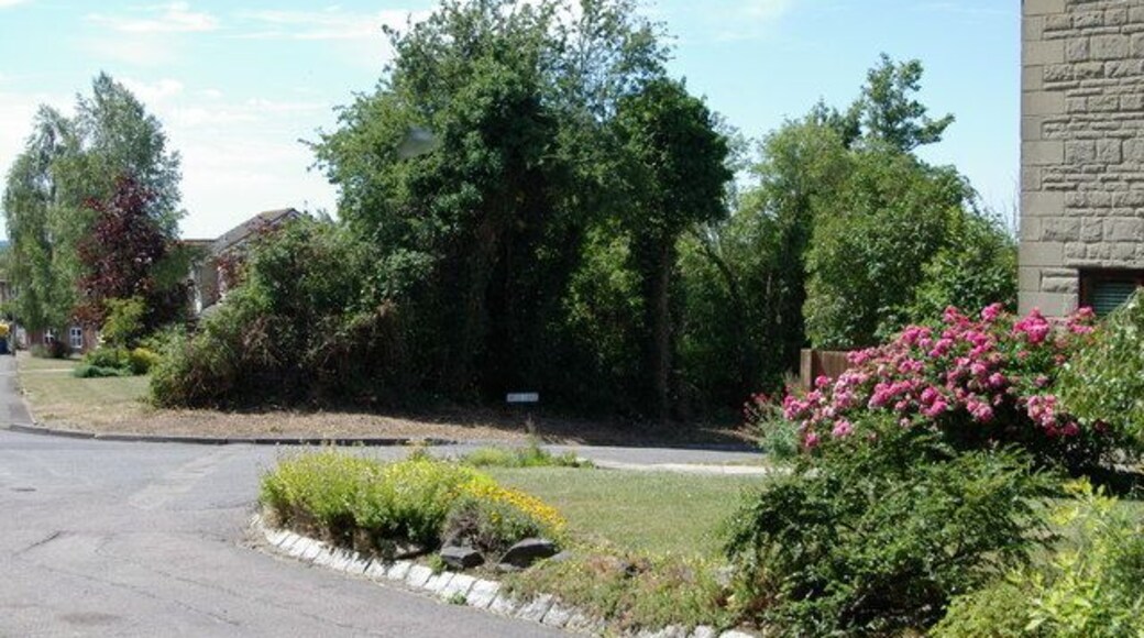 Mill Lane, Upper Arncott, Oxfordshire: view from lane near Arncott Wood.