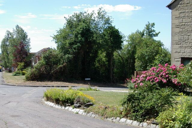 A residential street with houses, lush greenery, and flowering bushes.
