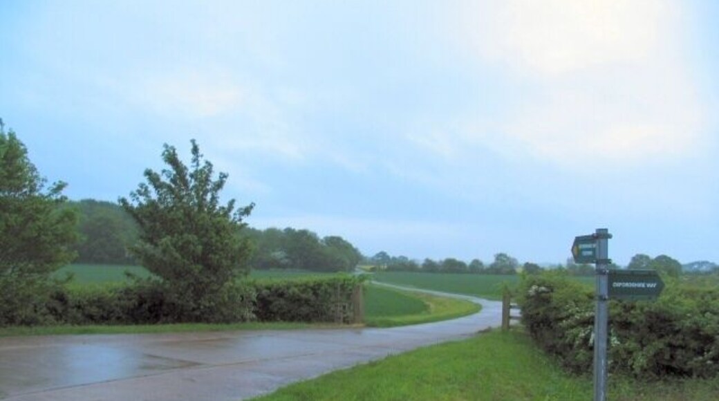 Towards Oddington Grange. The Oxfordshire Way continues from this point, down the lane past Oddington Grange. Dawn, on a wet and blustery day.