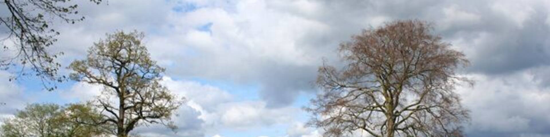 Parkland near Crewe Hall View from Weston Road towards Crewe Hall. The woodland (right) lines the south drive of the hall. The former parkland of Crewe Hall, now owned by the Duchy of Lancaster, is listed at grade II on the National Register of Historic Parks and Gardens
