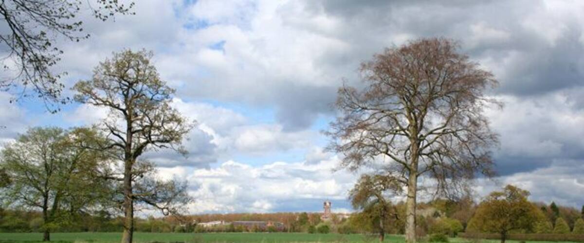 A grassy field with trees and a building in the background.