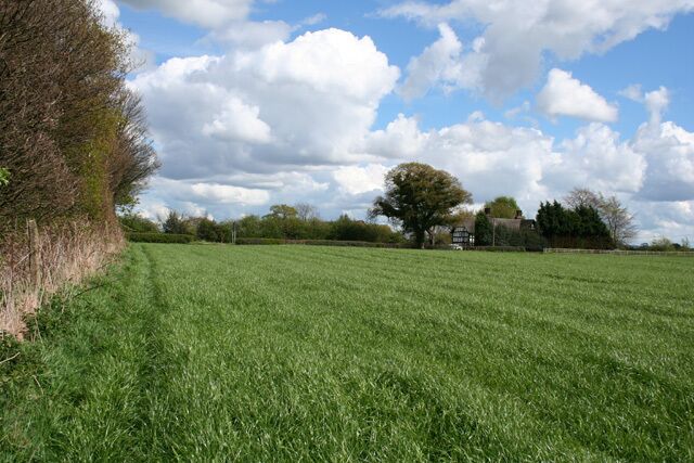 Farmland south of Stowford Large flattish field between the Crewe-Alsager railway (left) and the road to Weston village (distance). The black-and-white farmhouse of Hollyhedge Farm is visible in the distance (centre right). View from the public footpath between Weston Road and Whites Lane