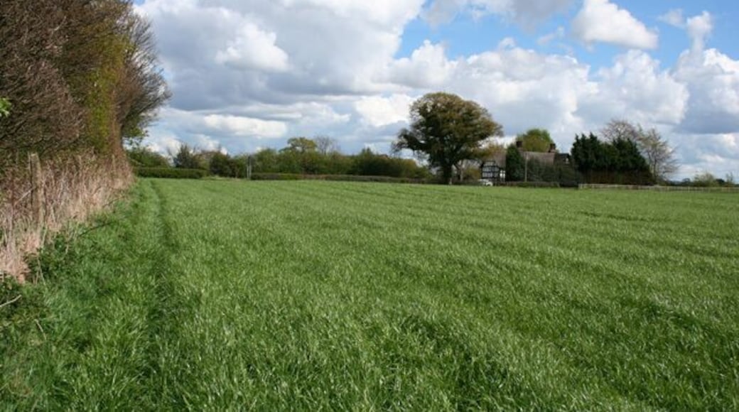 Farmland south of Stowford Large flattish field between the Crewe-Alsager railway (left) and the road to Weston village (distance). The black-and-white farmhouse of Hollyhedge Farm is visible in the distance (centre right). View from the public footpath between Weston Road and Whites Lane
