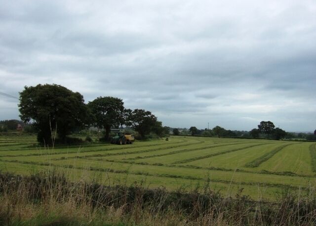 Farmland near Weston The wet summer has at least provided a generous grass crop for late silage or haylage making.