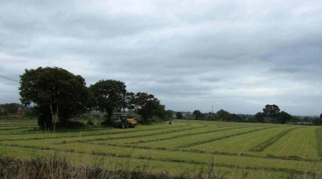 Farmland near Weston The wet summer has at least provided a generous grass crop for late silage or haylage making.