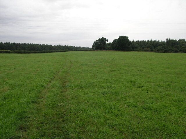 Path to Ranby Hall. This footpath joins with a byway and leads to Ranby Hall and then on to Bilby.
