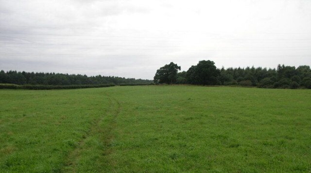 Path to Ranby Hall. This footpath joins with a byway and leads to Ranby Hall and then on to Bilby.