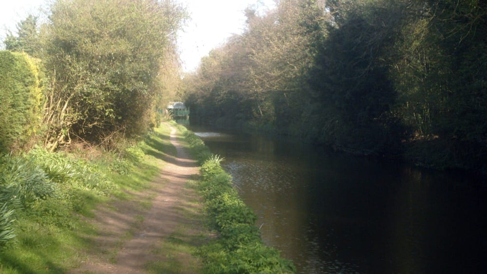 A narrow path beside a calm river, surrounded by dense greenery and trees.