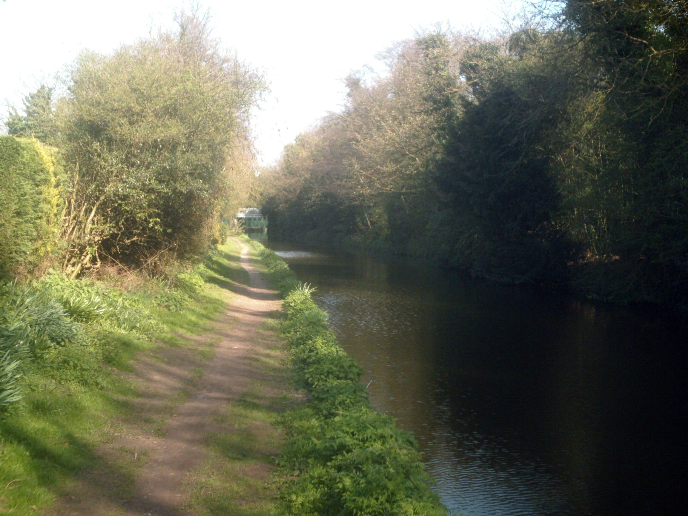 A narrow path beside a calm river, surrounded by dense greenery and trees.