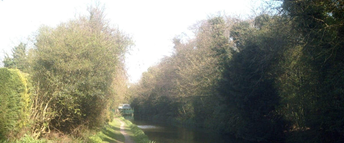 A narrow path beside a calm river, surrounded by dense greenery and trees.