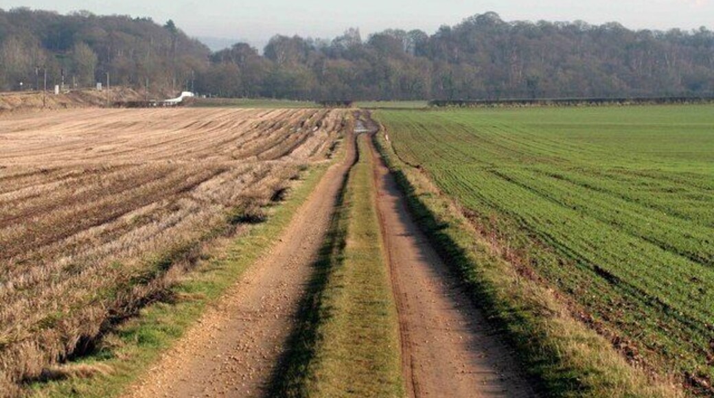 Straight on This path leads to Whisker Hill and West Retford.