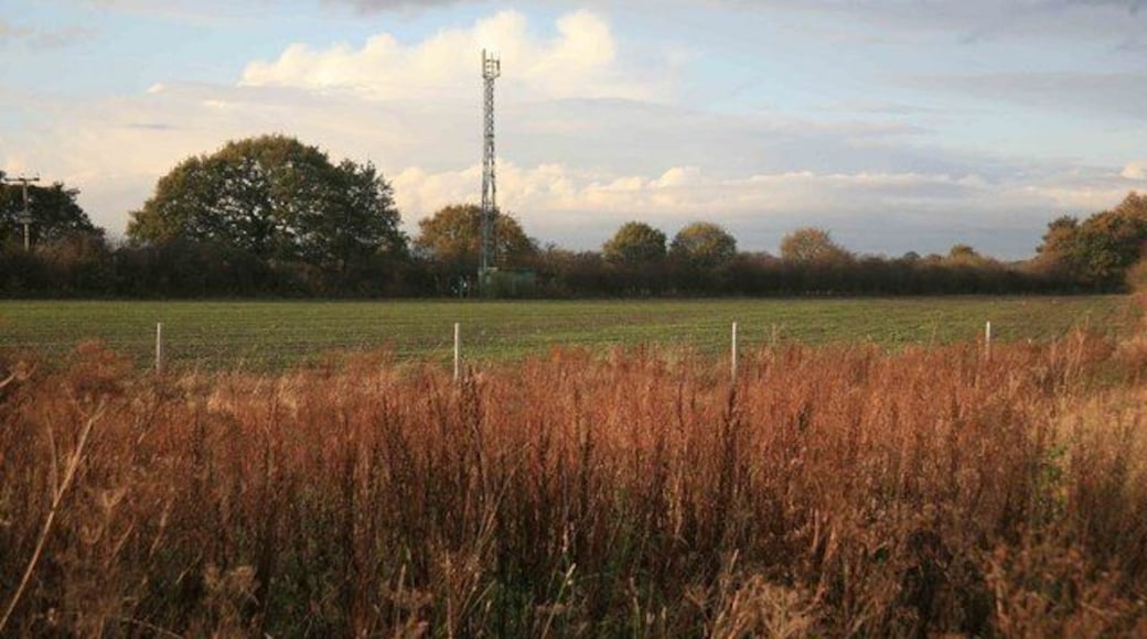 Radio Mast Across the fields nr Torworth.