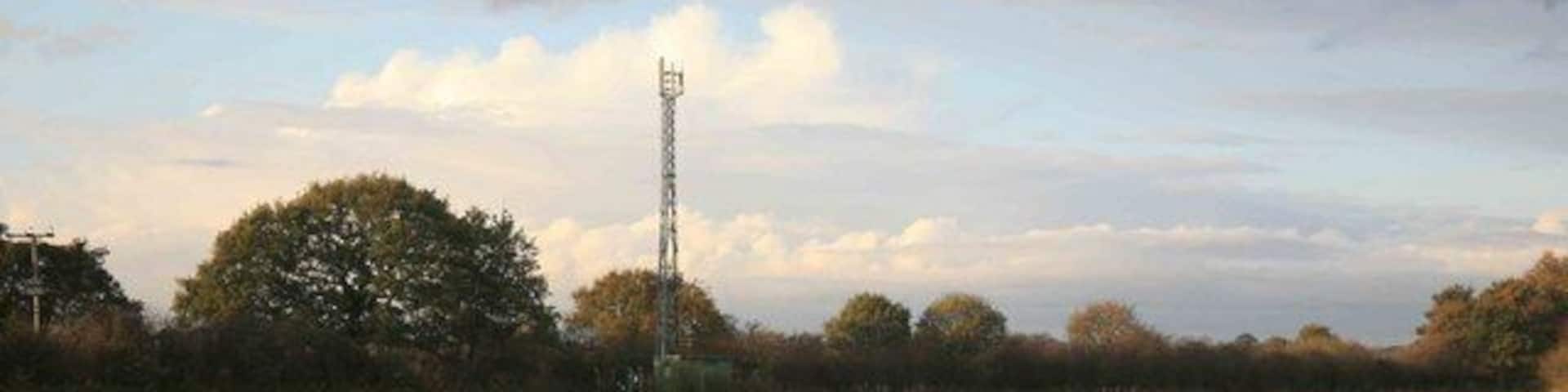 Radio Mast Across the fields nr Torworth.