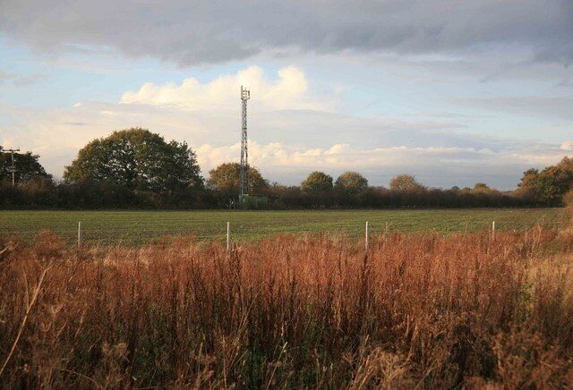 A rural landscape with a field, tall grass, trees, and a communication tower.