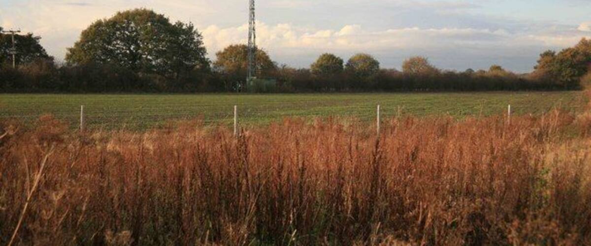 A rural landscape with a field, tall grass, trees, and a communication tower.