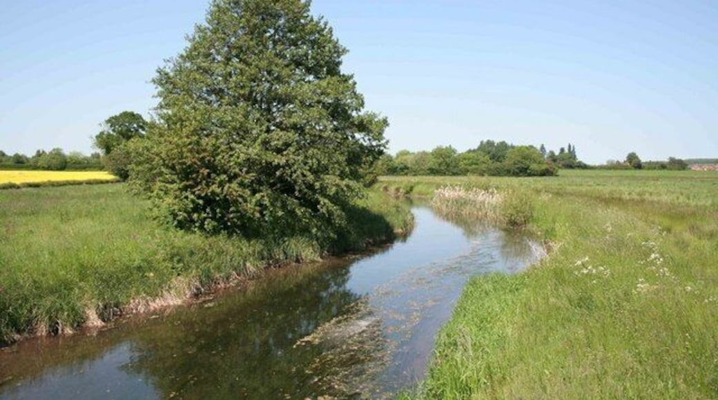The river Maun nr Eel pie farm Looking towards Rockley the river is nice and clear and very inviting on this hot summers day.