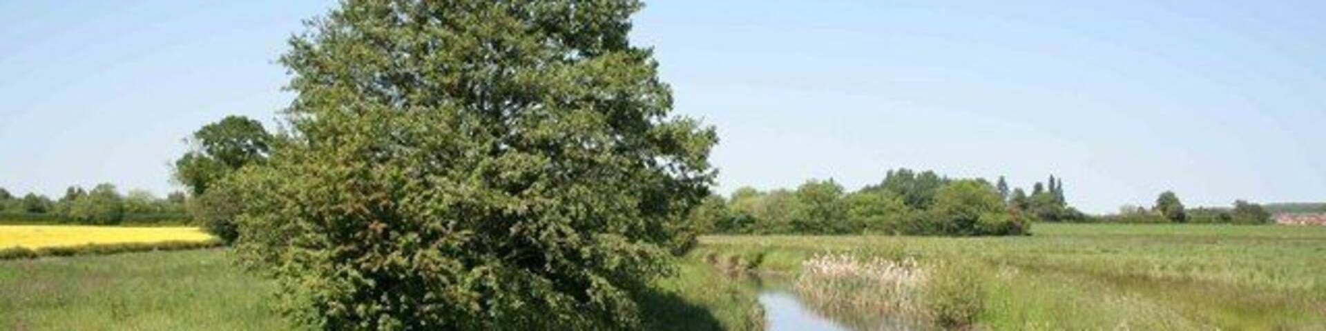 The river Maun nr Eel pie farm Looking towards Rockley the river is nice and clear and very inviting on this hot summers day.