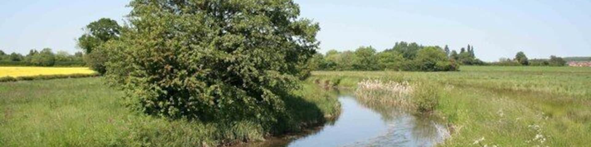 The river Maun nr Eel pie farm Looking towards Rockley the river is nice and clear and very inviting on this hot summers day.