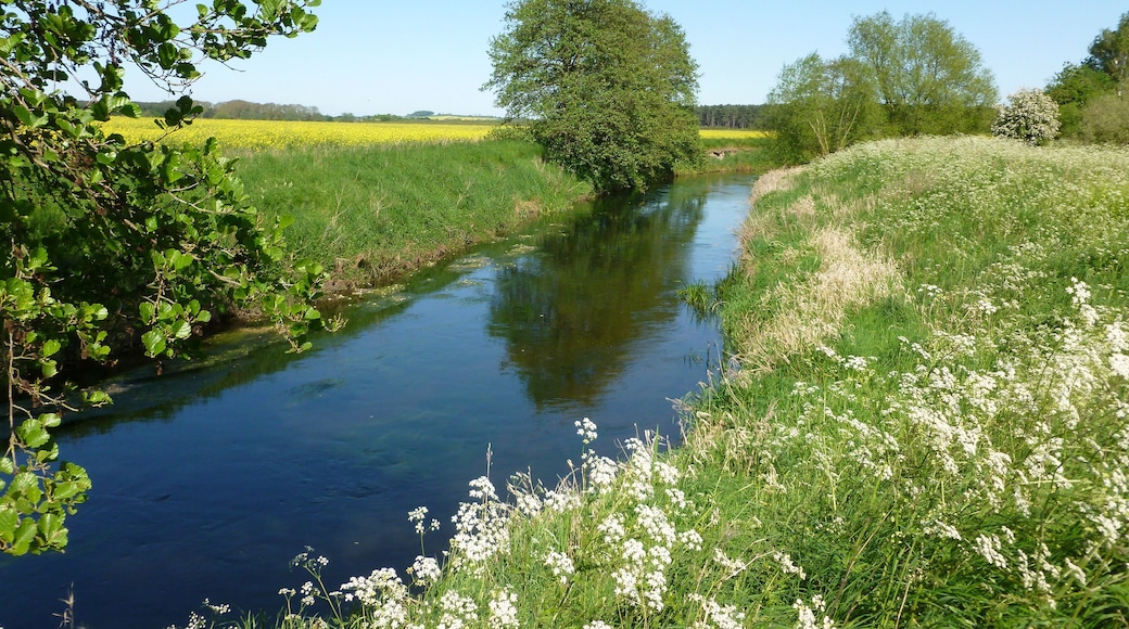 And emerging out of the trees