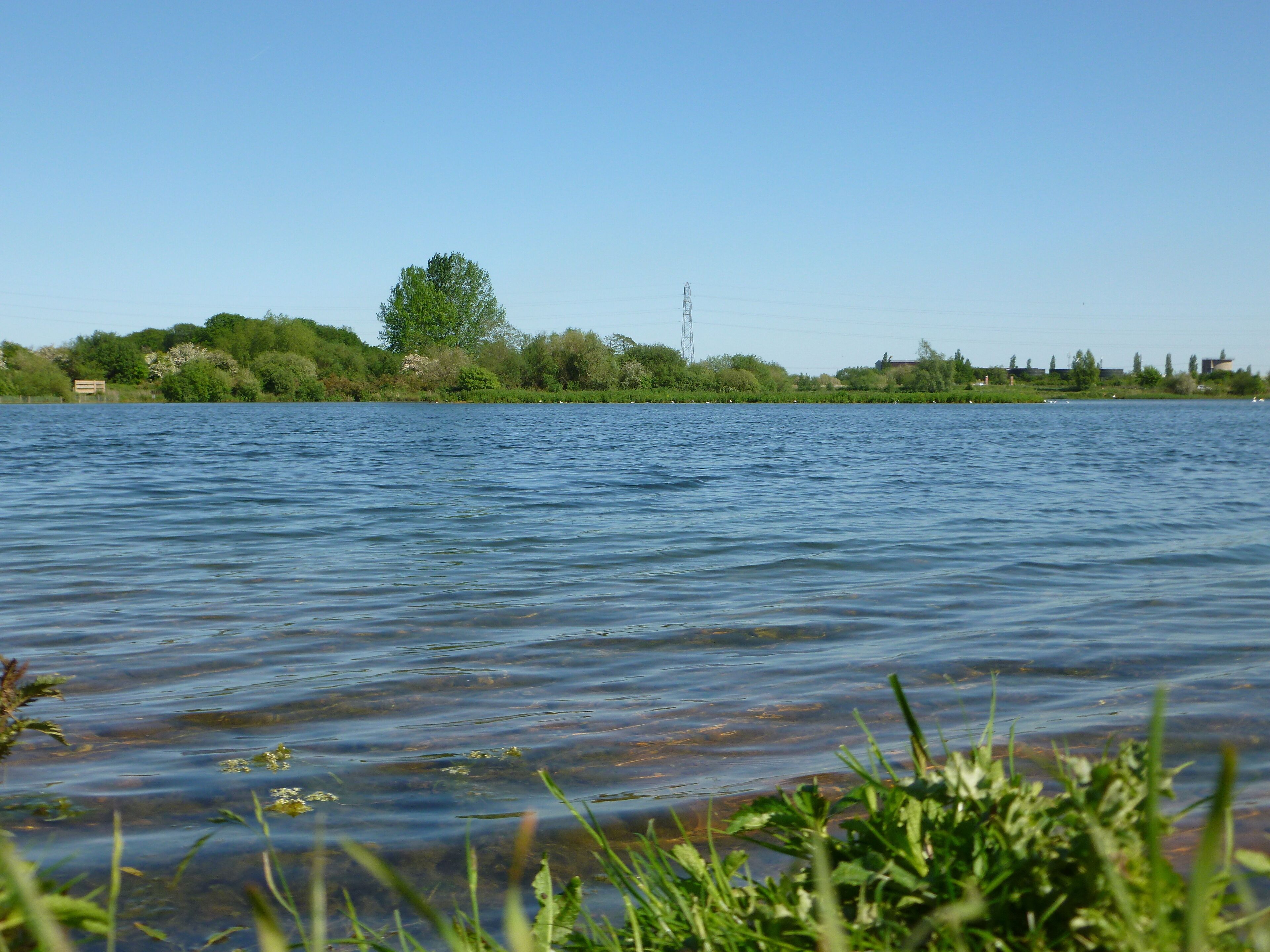 Close-up, looking south east