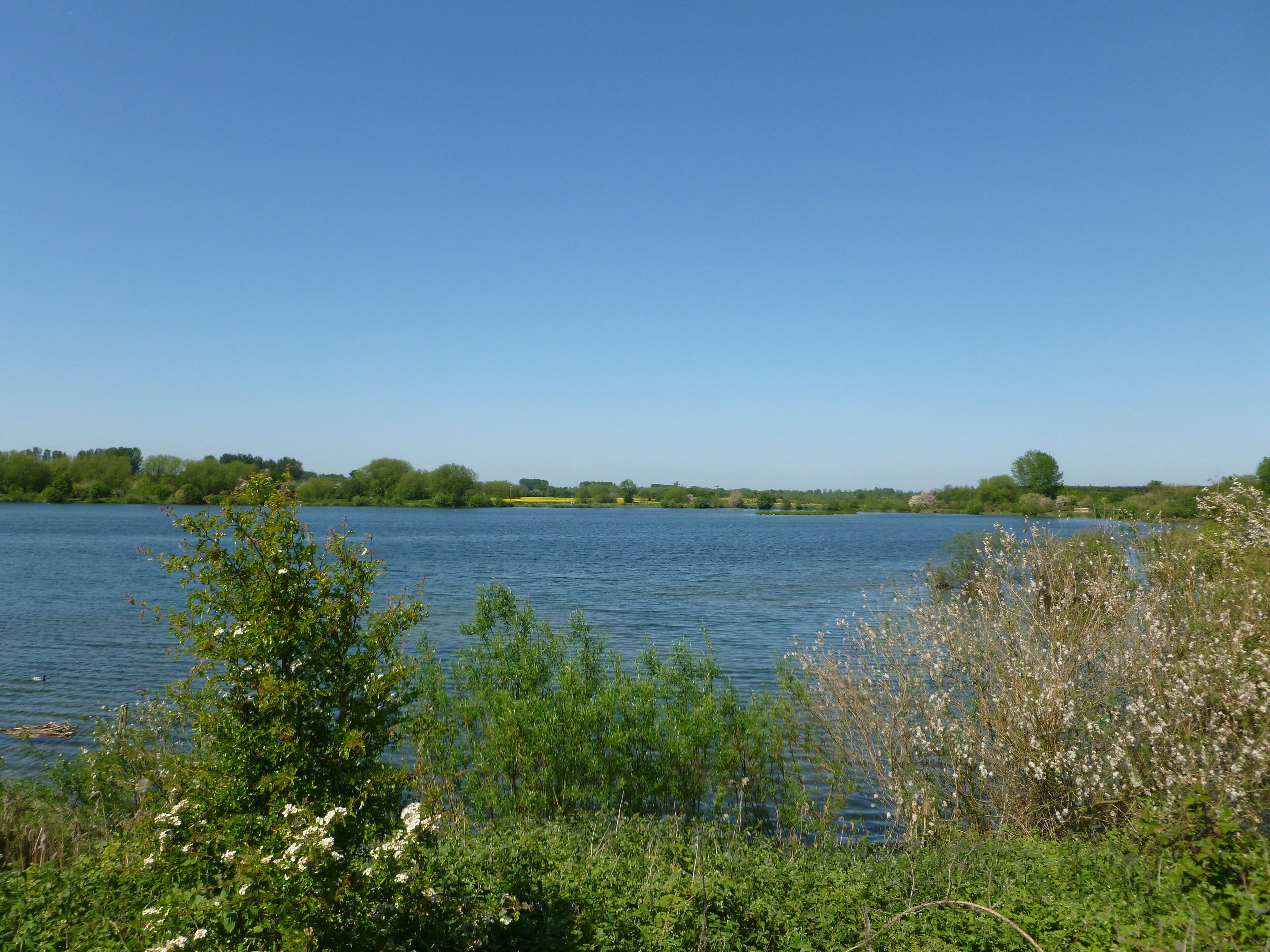 Bellmoor Lake - looking east from lookout point