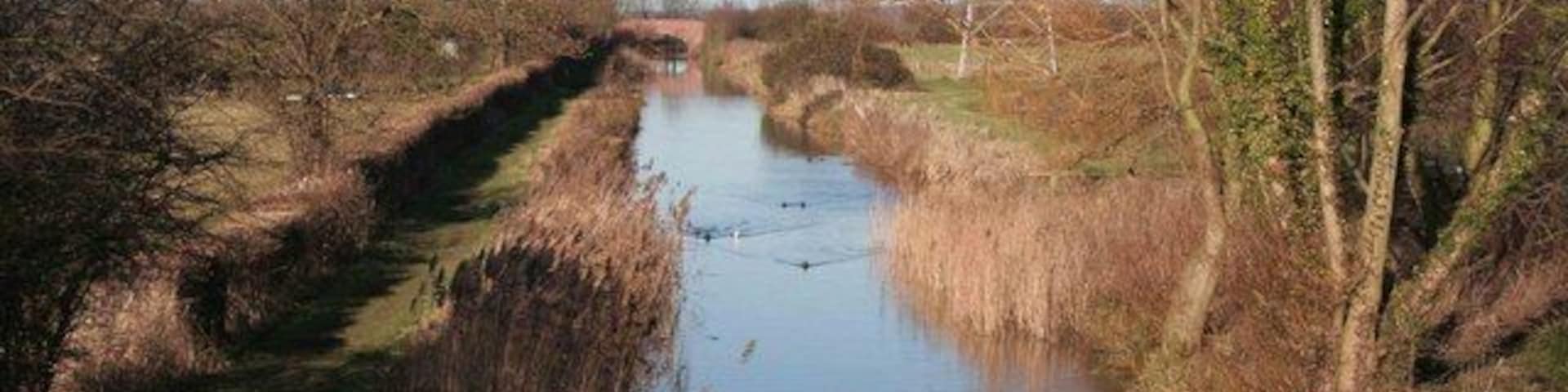Chesterfield Canal The view from the road bridge by the Gate Inn. Ducks are swimming towards the Inn.