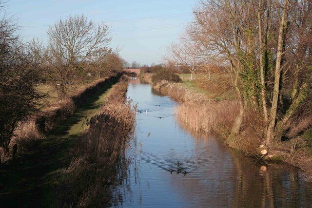 A narrow waterway flanked by leafless trees and grassy banks.