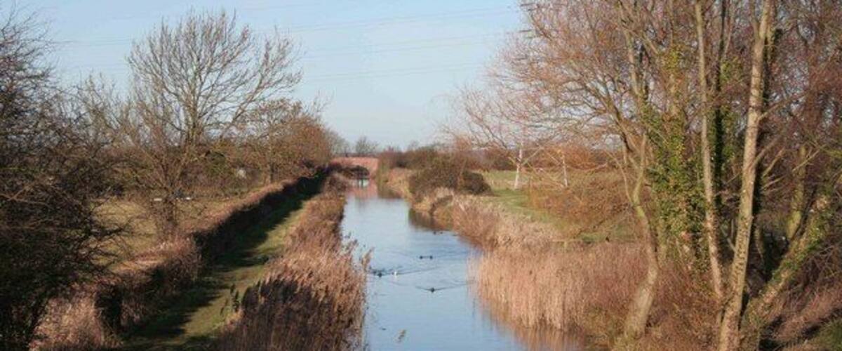 A narrow waterway flanked by leafless trees and grassy banks.