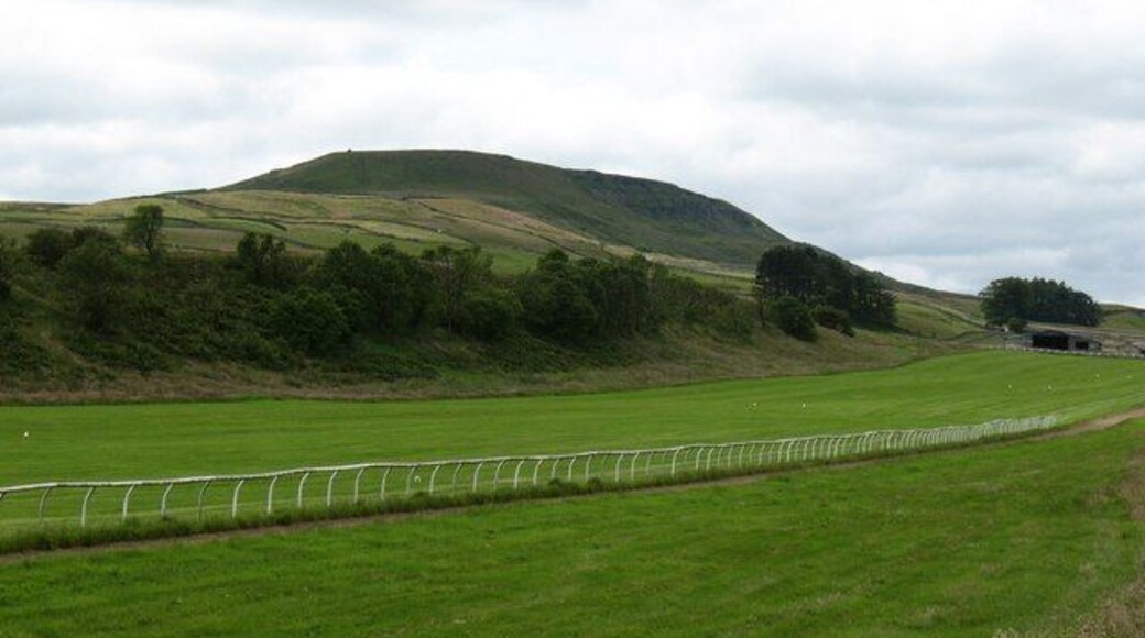 Middleham High Moor gallops The view across the gallops towards Penhill. All is quiet here at lunchtime on a summer day, but come this way in the early morning and there will be the thunder of hooves as the racehorses gallop by.
