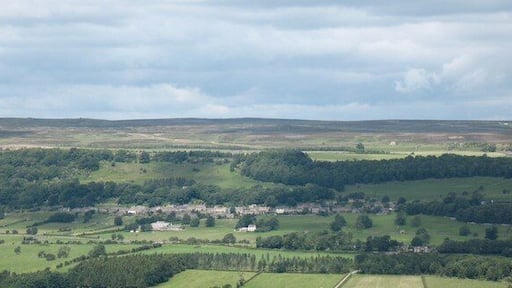 Preston under Scar The view of the village from the opposite side of the dale. Preston Scar is behind the village, with the limestone quarries almost totally hidden from this angle.