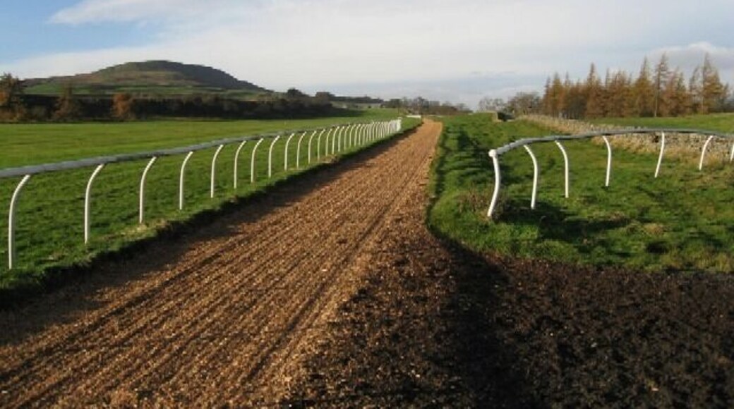 Ready For Training The gallops on Middleham High Moor.