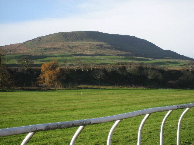 Altitude Training Looking over the gallops on Middleham High Moor to Melmerby Moor beyond. Surprisingly, the gallops are a thousand feet above sea level.