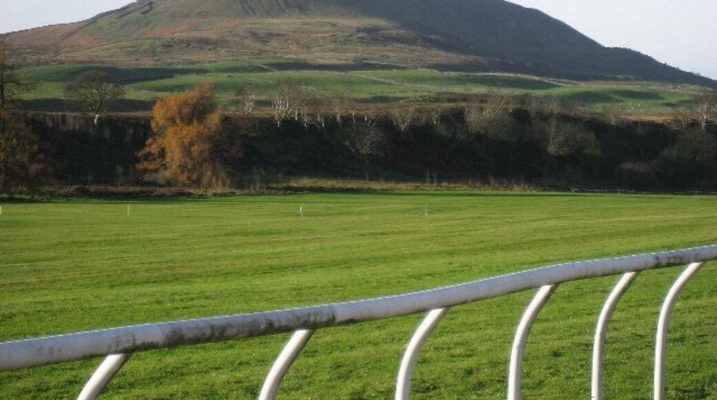 Altitude Training Looking over the gallops on Middleham High Moor to Melmerby Moor beyond. Surprisingly, the gallops are a thousand feet above sea level.