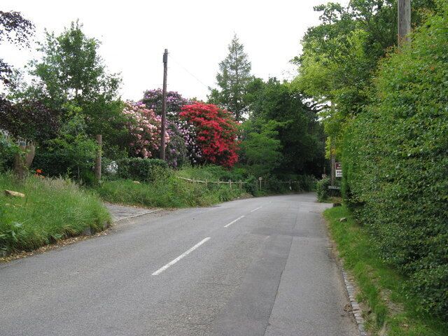 Colourful display along side Freshfield Lane Danehill