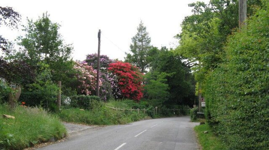 Colourful display along side Freshfield Lane Danehill